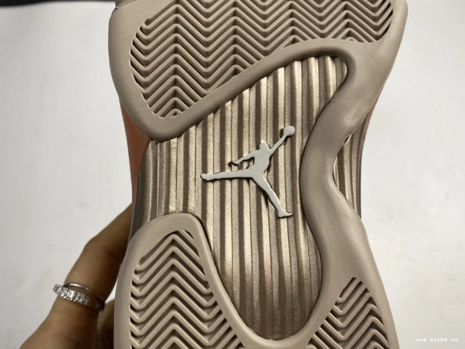 Rep Low Clot AIR Jordan Blush DC9857-200 14 Retro Terra 0715